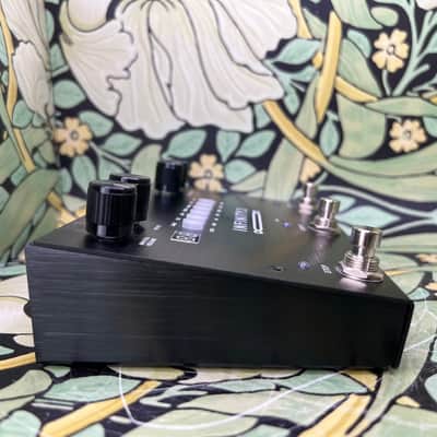 Pigtronix Infinity 3 Looper - Used image 6
