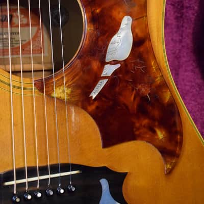 Gibson Dove Custom 1973 - natural image 16
