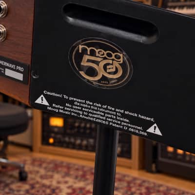 Immagine Moog Etherwave Pro Theremin – 50th Anniversary 2004 - Birdseye Maple / Natural Wood - 6