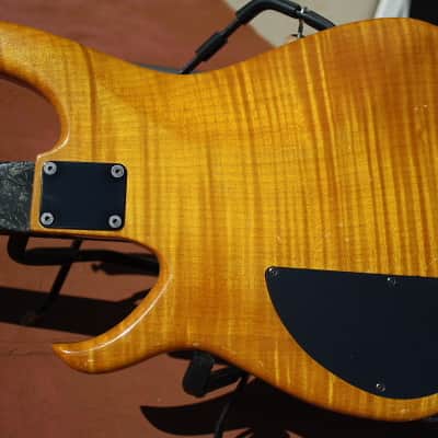 Modulus Bassstar SP-24 1980s Amber image 5