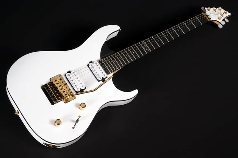 Washburn PXM-DP10WH David Palau Signature Double Cut Solid | Reverb