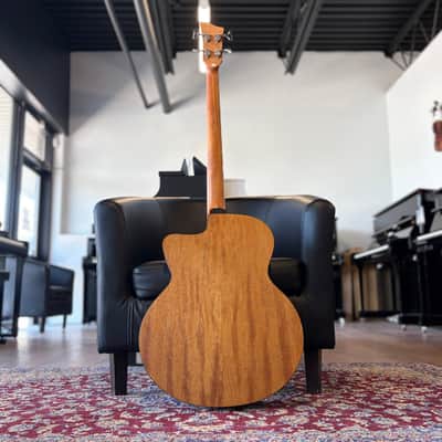 Jay Turser JTB-D200 Acoustic Bass Jumbo - Natural image 6