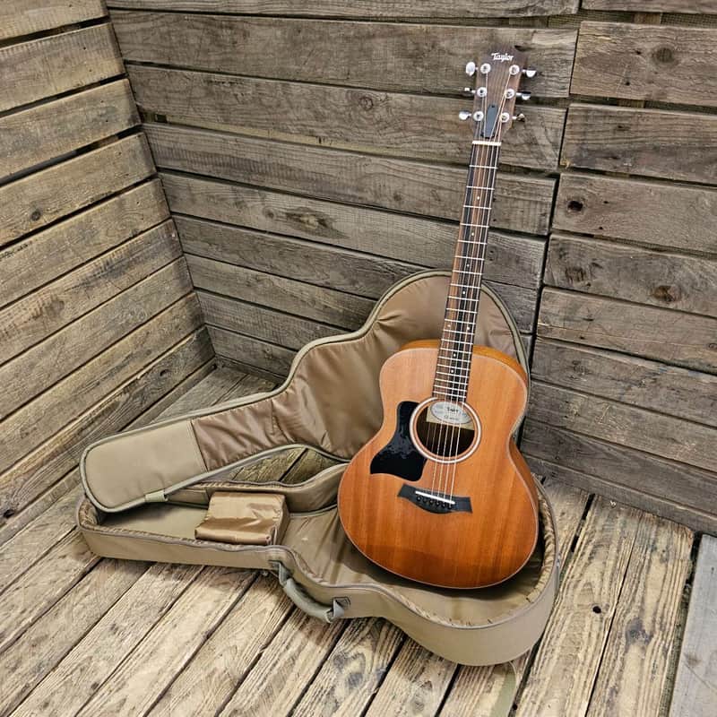 Taylor GS Mini