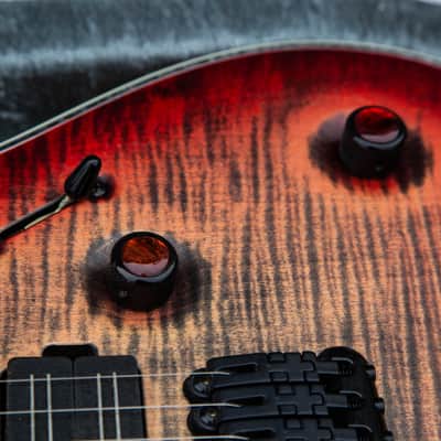 Mayones Regius 6 "Master Builder Edition" image 14