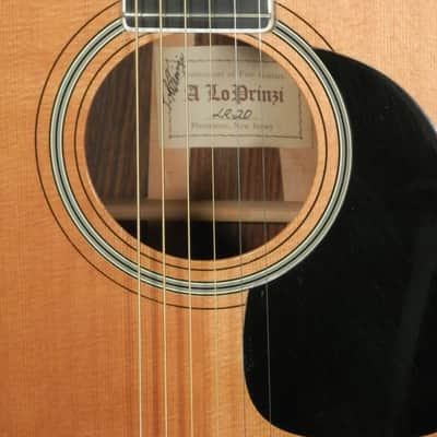 A LoPrinzi LR-20 Dreadnought Acoustic Guitar with case used image 12