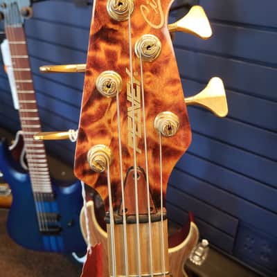 Peavey Cirrus 5 String Tiger Eye image 5