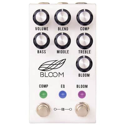 Bloom Midi Stainless Steel Jackson Audio image 2