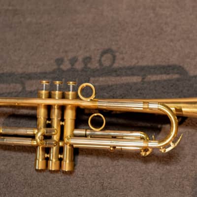 Van Laar OIRAM II 2013 - Raw Brass image 5