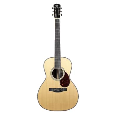 Santa Cruz H Model