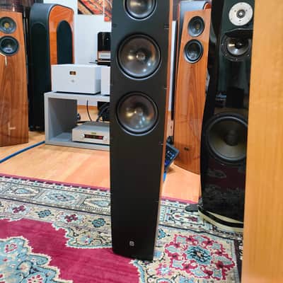 SCANSONIC BY RAIDHO Q10 image 2