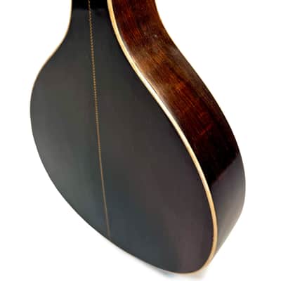 Flat-Back Mandolin Model Luxe Bruno Klemm 1890's / 1900's image 8