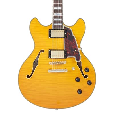 D'Angelico DAEDCVNATGS EXCEL DC Double Cutaway Semi-Hollow Body 6-String Electric Guitar w/Deluxe Hardshell Case image 3