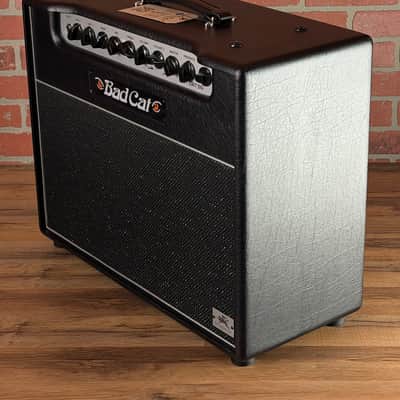 Bad Cat Custom MOD Shop Hot Cat 1x12" 50-watt Electric Guitar Combo Amp image 6