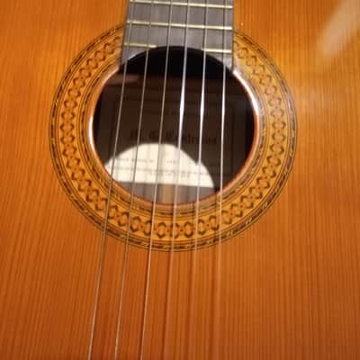 M.G. Contreras 1985 M-14 Spanish Classical Guitar (Guitarra Estudio) image 17