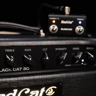 Bad Cat Mod Shop Black Cat 1x12 30W 2-Channel Tube Combo Amp image 4