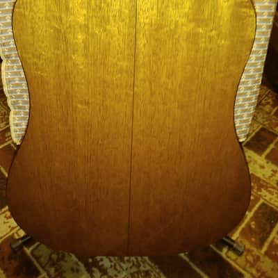 Taylor 510 LTD 2002 image 7