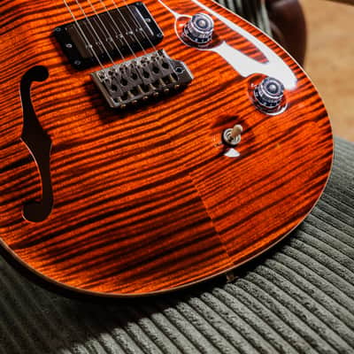 PRS Custom 24 Semi-Hollow Wood Library 10-Top image 5