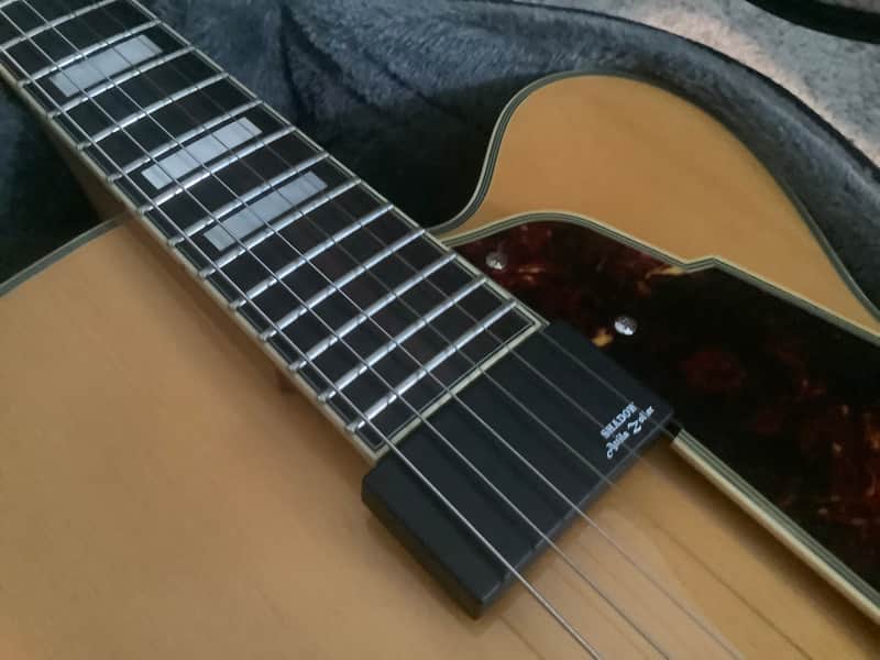 D'Angelico Excel EXL-1 Korea Archtop Attila Zoller AZ-10 Pickup image 1