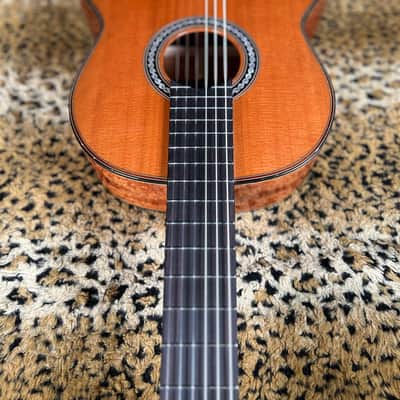 Cordoba C9 Parlor Nylon String Acoustic Guitar Natural image 10