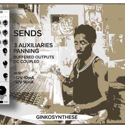 GINKOSYNTHESE Send Modules x3 image 2