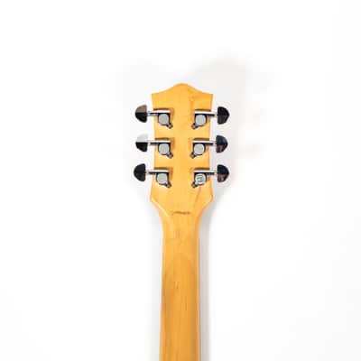 Electromatic Billy Bo Owned by Mike Campbell image 6