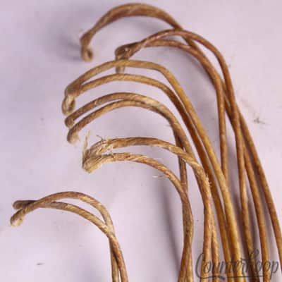 Ludwig Catgut(Sheep) 15"Snare Drum Wires/12x 20.5"Strands Vintage Cat Gut 70s US image 2