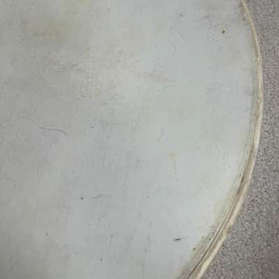 Slingerland Vintage Radio King 24” Genuine Calf Skin Bass Drum Head Lot #1 40s - Calf skin image 5