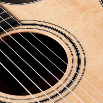 Taylor 314ce-N Nylon-String Acoustic Electric Grand Auditorium Guitar, Sitka Spruce Top, Sapele Back & Sides w/ Case image 6