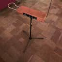 Moog Etherwave Standard Theremin
