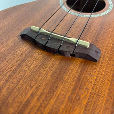 Ibanez Electric / Acoustic Concert Cutaway Ukulele with Enya Soft Case image 13