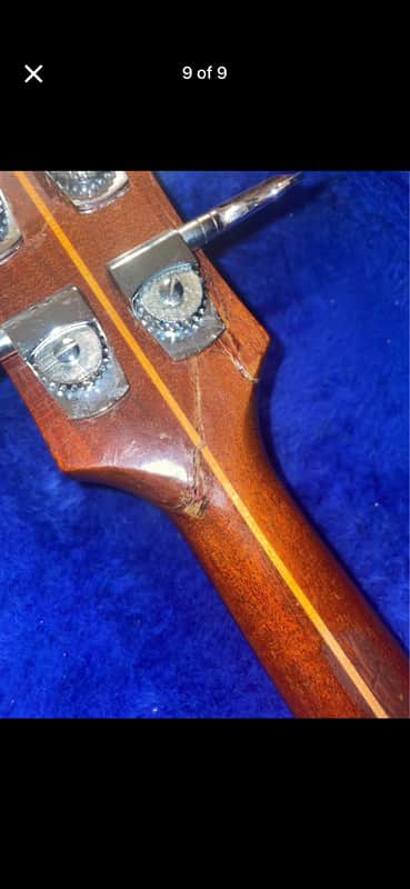 Guild B-301 Bass 1979 - Mahogany