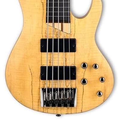 LTD LB205SMFLNS B-205SM FRETLESS Natural Satin NATURAL SATIN image 4