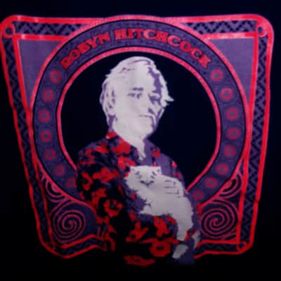 robyn hitchcock with pussy cat large unisex tee - uk pyschedelic folk art rock soft boys egyptians image 1