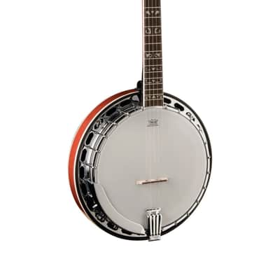 Washburn B16 Americana 5-String Banjo (Tobacco Sunburst) *USA Small Business* image 3