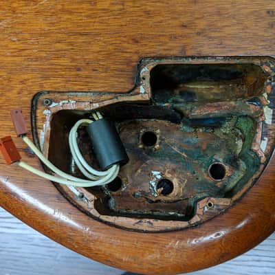 Alembic Epic 5 image 16