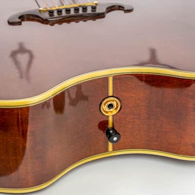 Daion The Year Series '81 Caribou - Brown (BR) - Electric Acoustic Six String image 15