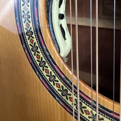 Alvarez Model 5021 12-String Dreadnought Acoustic Guitar Gloss Natural w/ Case image 9