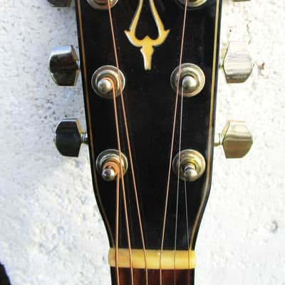 Daion The Year Series 79B Dreadnought Guitar 1979, Japan, Black, Case image 4