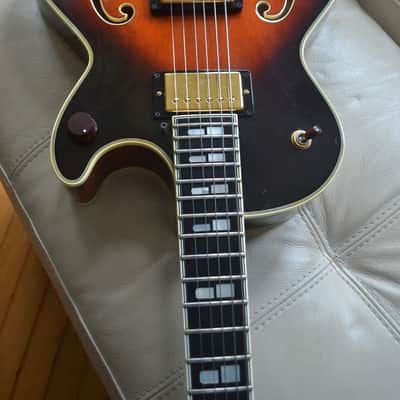 Immagine Polytone Improv I Archtop Jazzbox - RARE - Japan - 20
