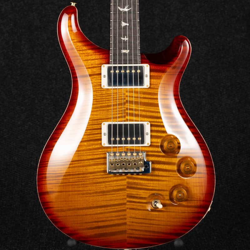 Paul Reed Smith DGT 10-Top Birds - Dark Cherry Burst image 1