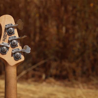 Ernie Ball Music Man StingRay 4 2EQ H 2014 đź–¤ image 15