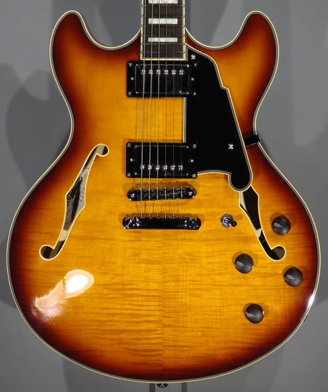 D'Angelico Premier DC 2024 - Dark Iced Tea Burst w/Gig Bag image 1