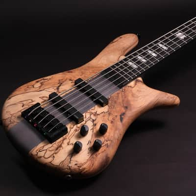 Spector CST limited Edition 2026 - Spalted Maple image 7