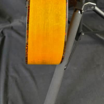 Breedlove Pursuit EX S Concert TE CE 2023 - Tigers Eye image 6
