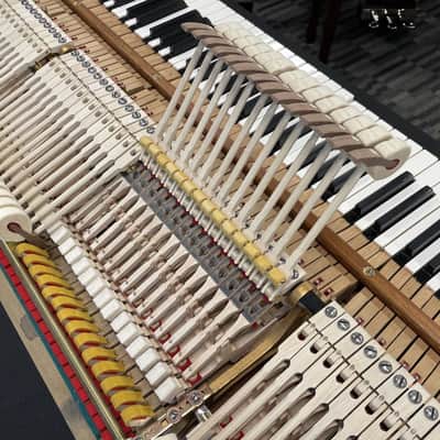 Steinway Model M 5'7" Grand Piano 1924 (Restored) - Satin Mahogany image 23