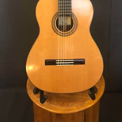 Kolya Panhuyzen Classical Guitar 2012 Cedar/Ziricote image 1