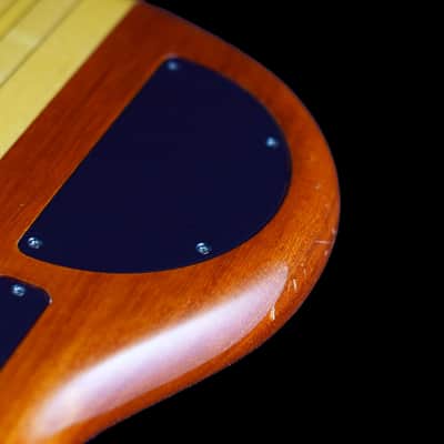 Alembic Essence 1998 image 12