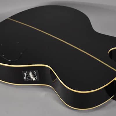 Washburn AB-20 Acoustic-Electric Hollowbody Bass Sunburst w/HSC image 14