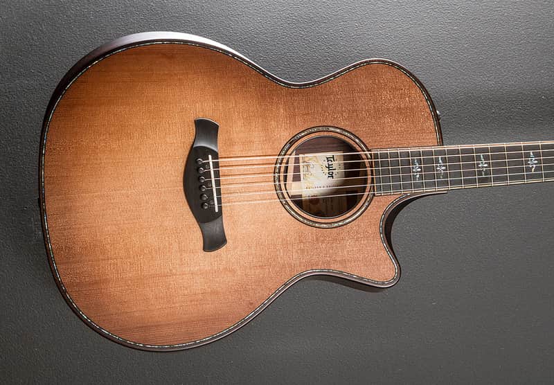 Taylor Builder's Edition 914CE WHB image 1