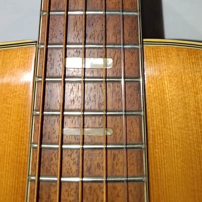 Epiphone FT-135 image 6